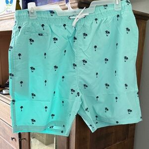 Surf Style Men's Swim Trunks - Mint with Palm Print
